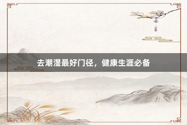 去潮湿最好门径，健康生涯必备