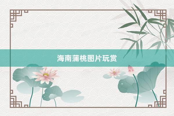 海南蒲桃图片玩赏