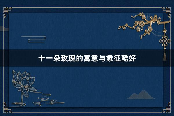 十一朵玫瑰的寓意与象征酷好